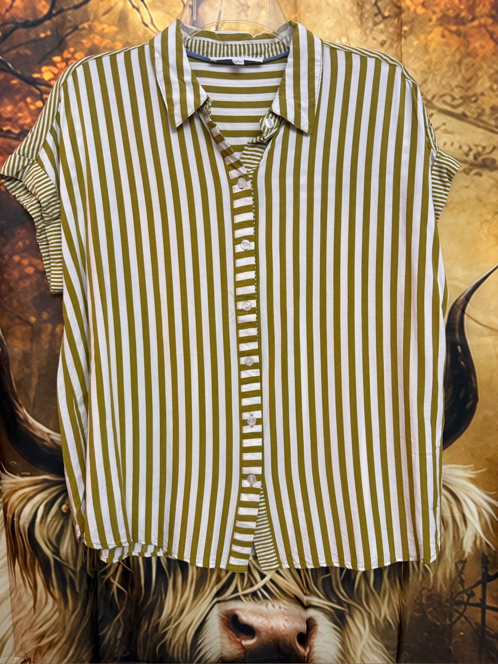 Jane and Delancey Olive and White Striped Button-Down Top